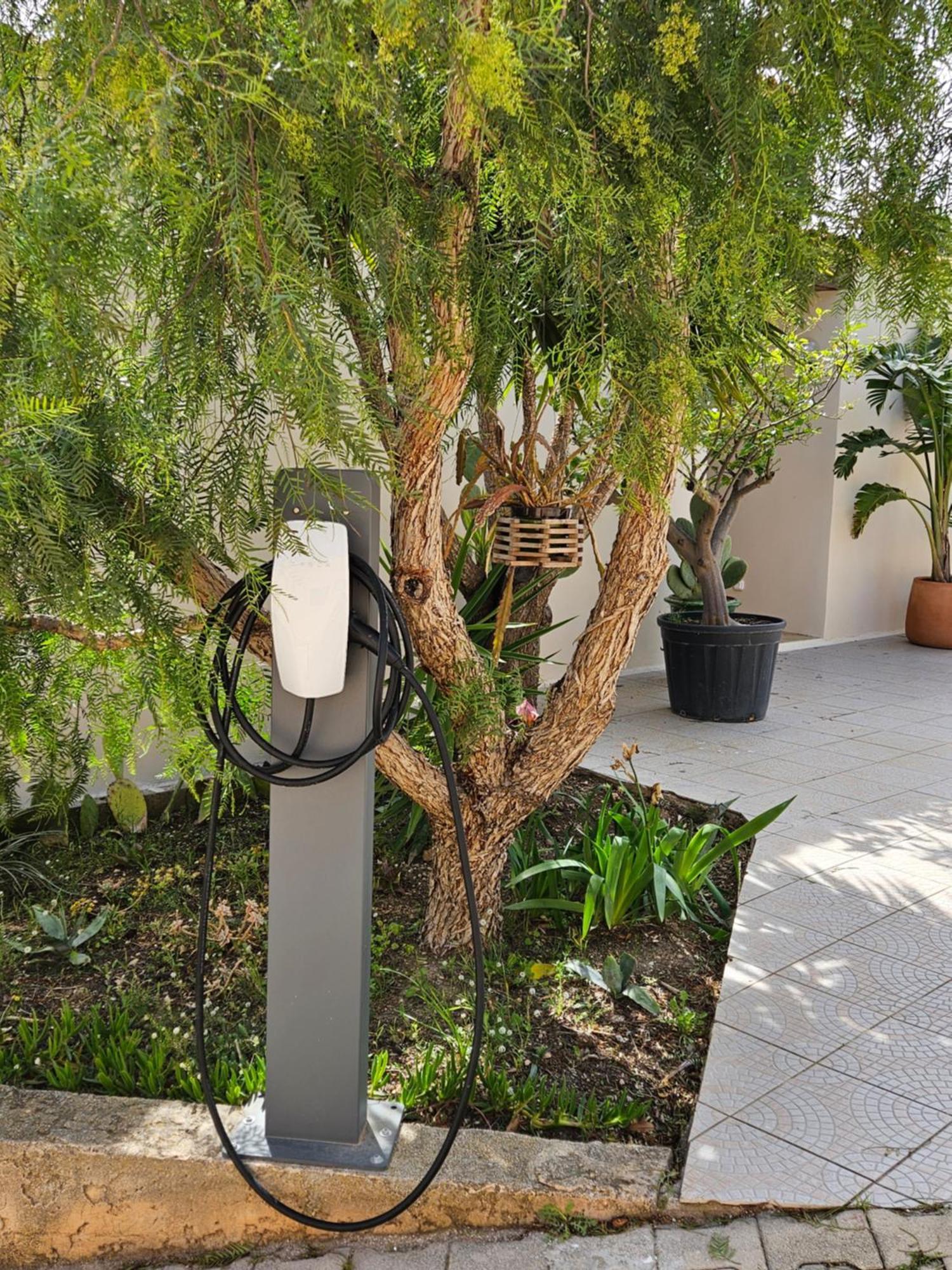 Bed and Breakfast Les Cactus Bleus Sausset-les-Pins Exterior foto